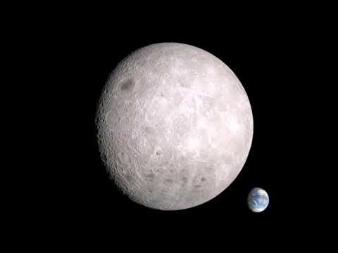 Shy Moon - Pierre Simões