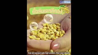 นูตร้าเวล พีพี (Nutrawell PP) นูตร้าเวล พีพี (Nutrawell PP)