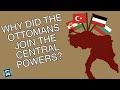 Why Did the Ottoman Empire Join the Central Powers? (Short Animated Documentary)