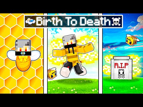 Ultimate MINECRAFT Bee Journey: Birth to Death 🐝