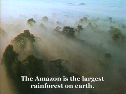 The Amazon-Leather Connection