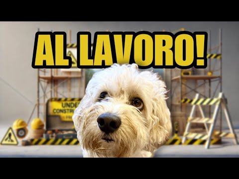 The best of Chico's adventures - CHICOLLECTION 9