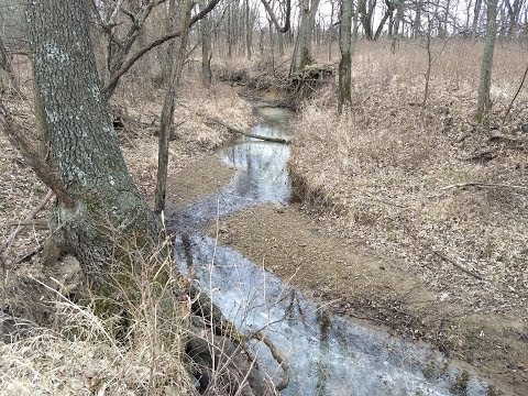 4161 Hawaii Elsmore, KS 66732 142 Acres