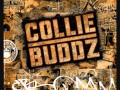 collie buddz ft paul wall - what a feeling