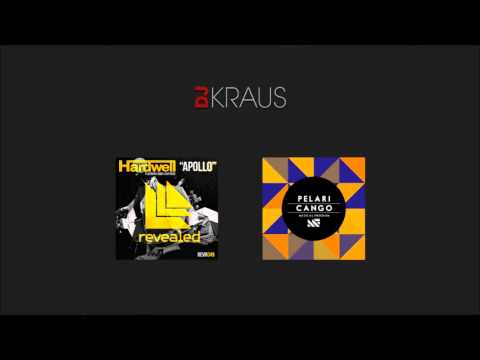 Hardwell feat. Amba Sheperd vs Pelari - Apollo Cango (DJ Kraus Mashup)