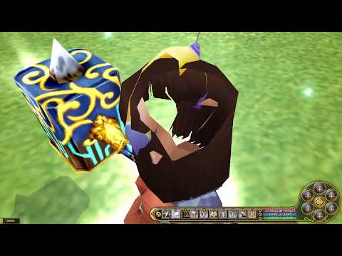 Insanity Flyff E413 - Buying Guardian Set and opening Boxes