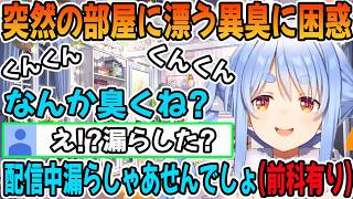 部屋に漂う異臭に困惑する兎田ぺこら「ホロライブ切り抜き」