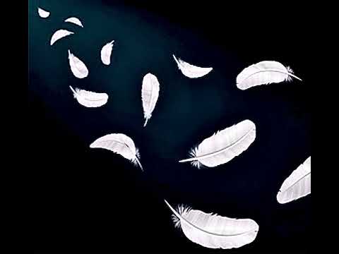 Lost Feathers - NewStorm!