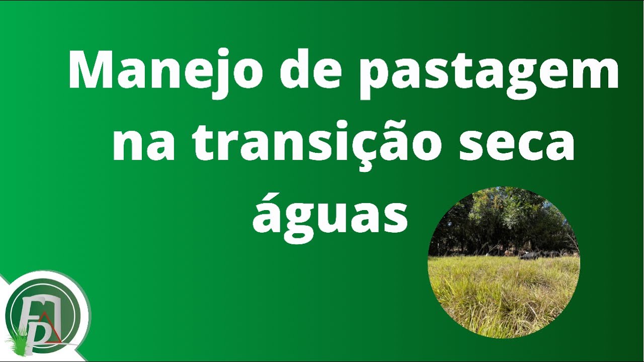 MANEJO DE PASTAGEM NA TRANSIÇÃO SECA ÁGUAS