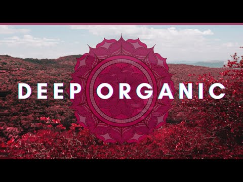 ORGANIC HOUSE 2021 | Tribal, Desert House, Afro House - PLAYLIST #1