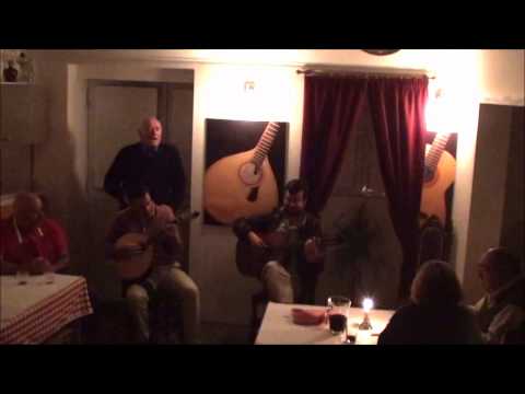 José Manuel Rato - Galgo de corrida