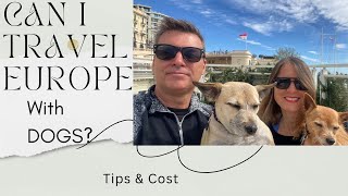 The REAL Cost of Slow Travel with a Dog