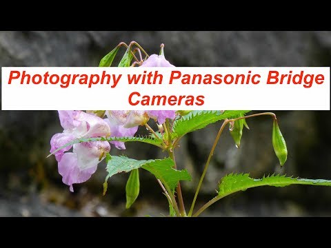 Panasonic Lumix Bridge Camera Photography  -  Part 3