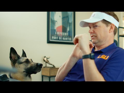 SEC Shorts - When your new coach leaves his dog at the old job