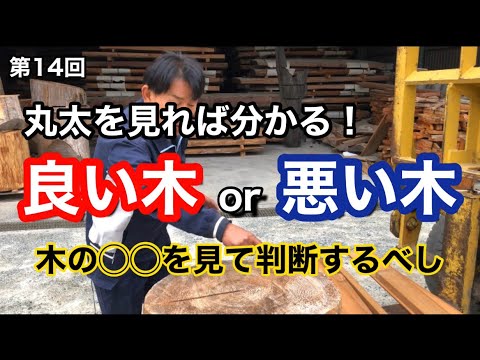 違法木材取引は後を絶たない?