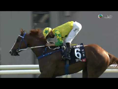 HKJC香港短途錦標 Hong Kong Sprint 一級賽 G1 1200m 2021-12-12 顯心星 SKY FIELD 沙田馬場 Shatin Racecourse