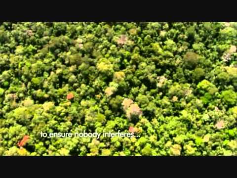 First Aerial Footage of an Uncontacted Tribe HD
