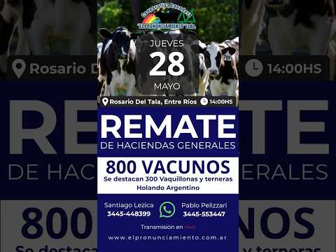 Remate de hacienda Rosario Del Tala 28-05-2026 | Coop. Ganadera El Pronunciamiento