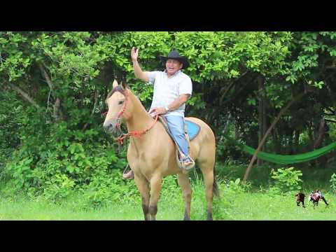 VILLAMIL TORRES - SOLTERITO Y A LA ORDEN