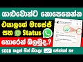How To Hide Blue Ticks On Whatsapp In Sinhala Blue Tick Hide In Whatsapp