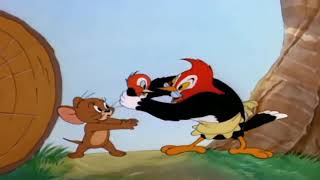 Download lagu Tom and Jerry - Episode 41 - Hatch Up Your Troubles - Part 3 Cartoon HD mp3 Download lagu Tom and Jerry - Episode 41 - Hatch Up Your Troubles - Part 3 Cartoon HD mp3