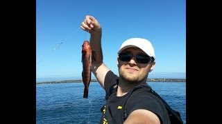 preview picture of video 'Fishing at Newport Oregon ,south jetty how to fish or saltwater fish'