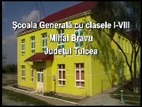 Scoala Mihai Bravu