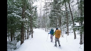 preview picture of video 'Pure Michigan Snowshoeing Adventure 2018'