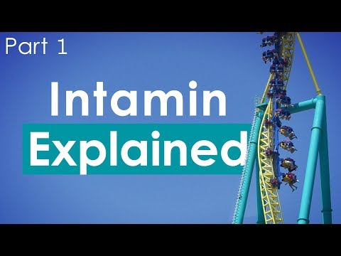 Intamin: Explained - Part 1