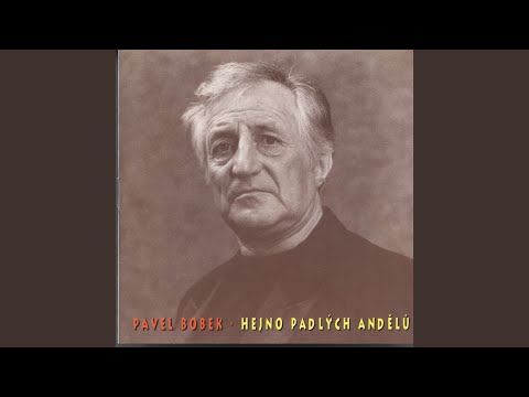 Nocni dest jde Georgii (A rainy night in georgia)