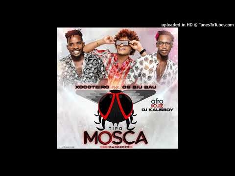 AD MUZIK Tipo Mosca  Xocoteiro feat Os Biu Bau  Dj Kalisboy