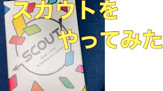 とり助らがスカウトをやってみた