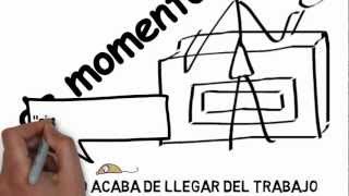 west new york | union city | 212- 602-1260 | exterminador