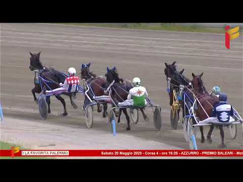 IV Corsa del 20 Maggio 2023 - 3 Anni - Metri 2000