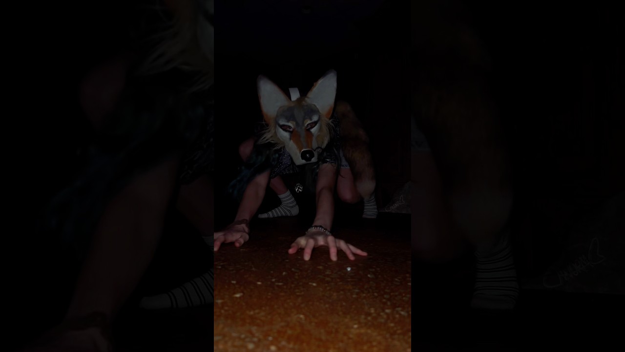 𝔗𝔬𝔫𝔦𝔤𝔥𝔱’𝔰 𝔱𝔥𝔢 𝔫𝔦𝔤𝔥𝔱 [ #quadrobist #quadrobist #quads #furry #silly #mask #antizoo ]