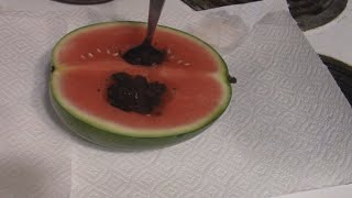 The Worst Recipes on Youtube