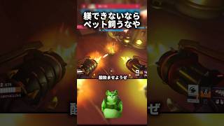 【オーバーウォッチ】躾出来んくせにペット飼うなアホ #overwatch #オーバーウオッチ2