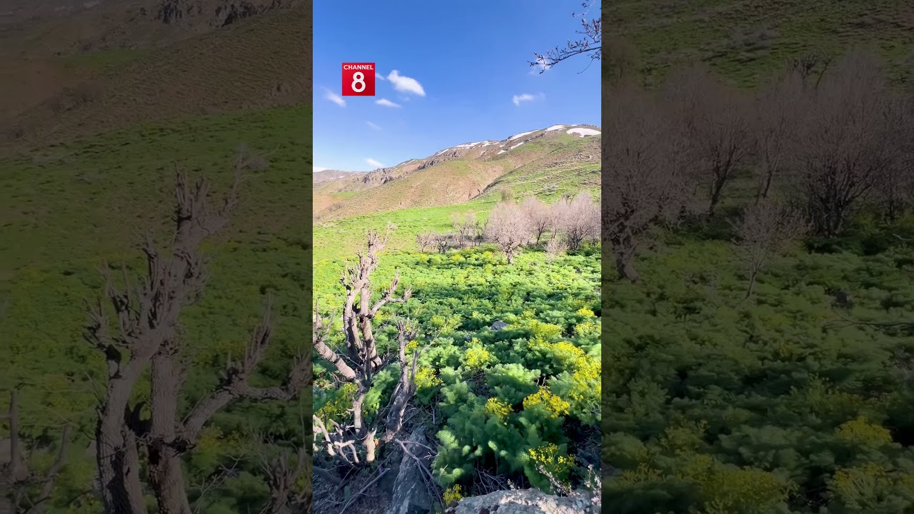 ڤیدیۆ | تاوەکو ئێستاش بەفر بە لوتکەی چیاکەوەیە؛ دیمەنی ناوازەی چیای حەسەن بەگ لە سنووری سۆران