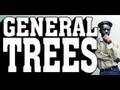General Trees - Mini Bus 