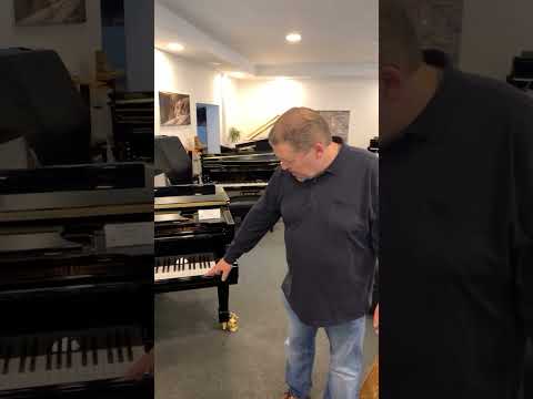 Nagelneu! Steinway & Sons D-274 Gestellungsflügel  #maiwald #flügel #piano #steinwayandsons