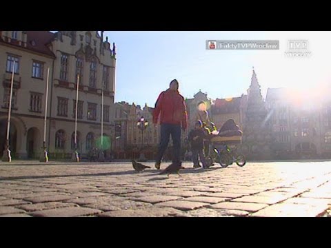 Duży może więcej - wrocławska aglomeracja, „Fakty" 16.12.2013