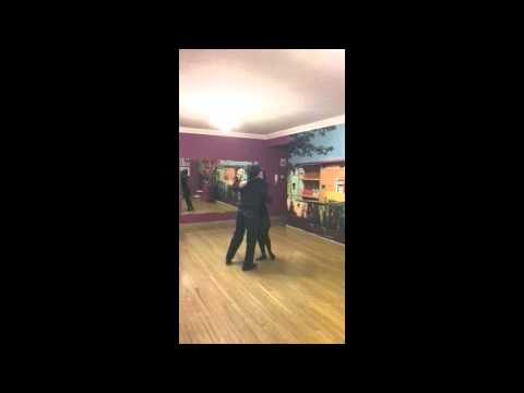 Pajaro Silvestre by Canaro