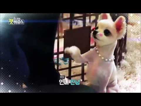 150303 SONAMOO's Pet House Ep. 1 Teaser #2