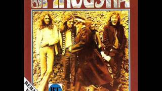 Spirogyra - Parallel lines never separate / World's eye