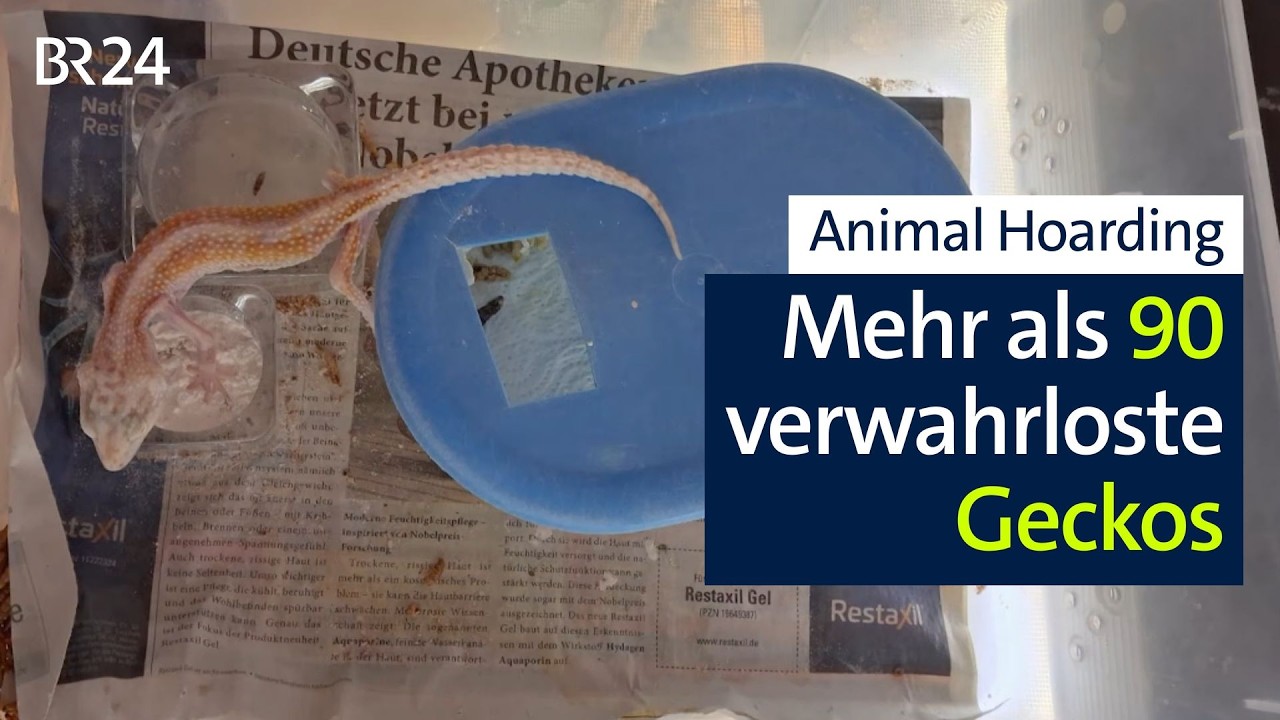 Animal Hoarding: Wenn Tierliebe in Überforderung umschlägt | Abendschau | BR24