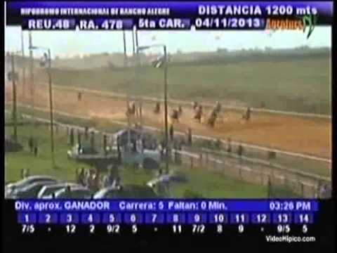 Resumen Lunes, 04 de Noviembre 2013 - Rancho Alegre