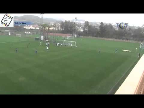 Z. Badoyan's goal (FC BATE) vs Rosenborg BK