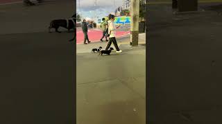 Aj hum gye NZ ka cruise dekhne #newzealand