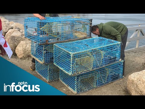 Why inherent treaty rights are continually trampled in Canada | InFocus