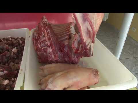 Reportagem CTV-PB Bode ou  carneiro? veja a diferença